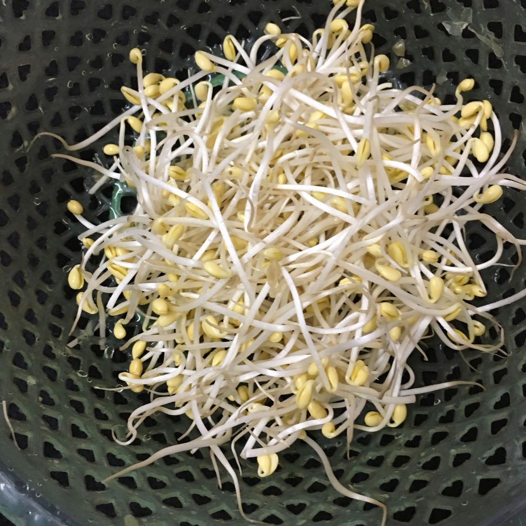 黄豆芽肉片汤